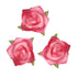 30mm Foam Rose Head Flowers (available in 6 colours)
